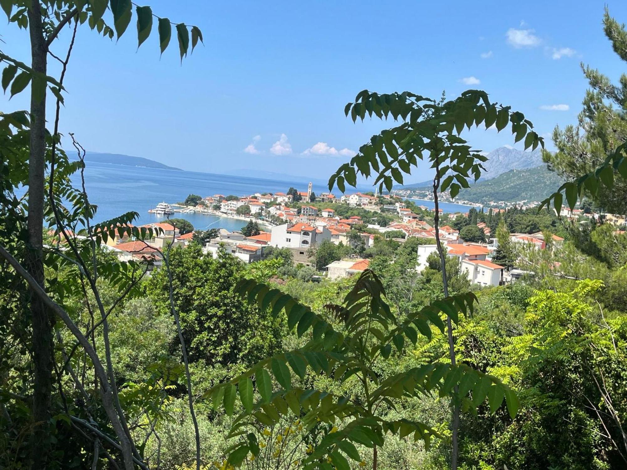 Apartment Davor Gradac (Split-Dalmatia) Exterior foto