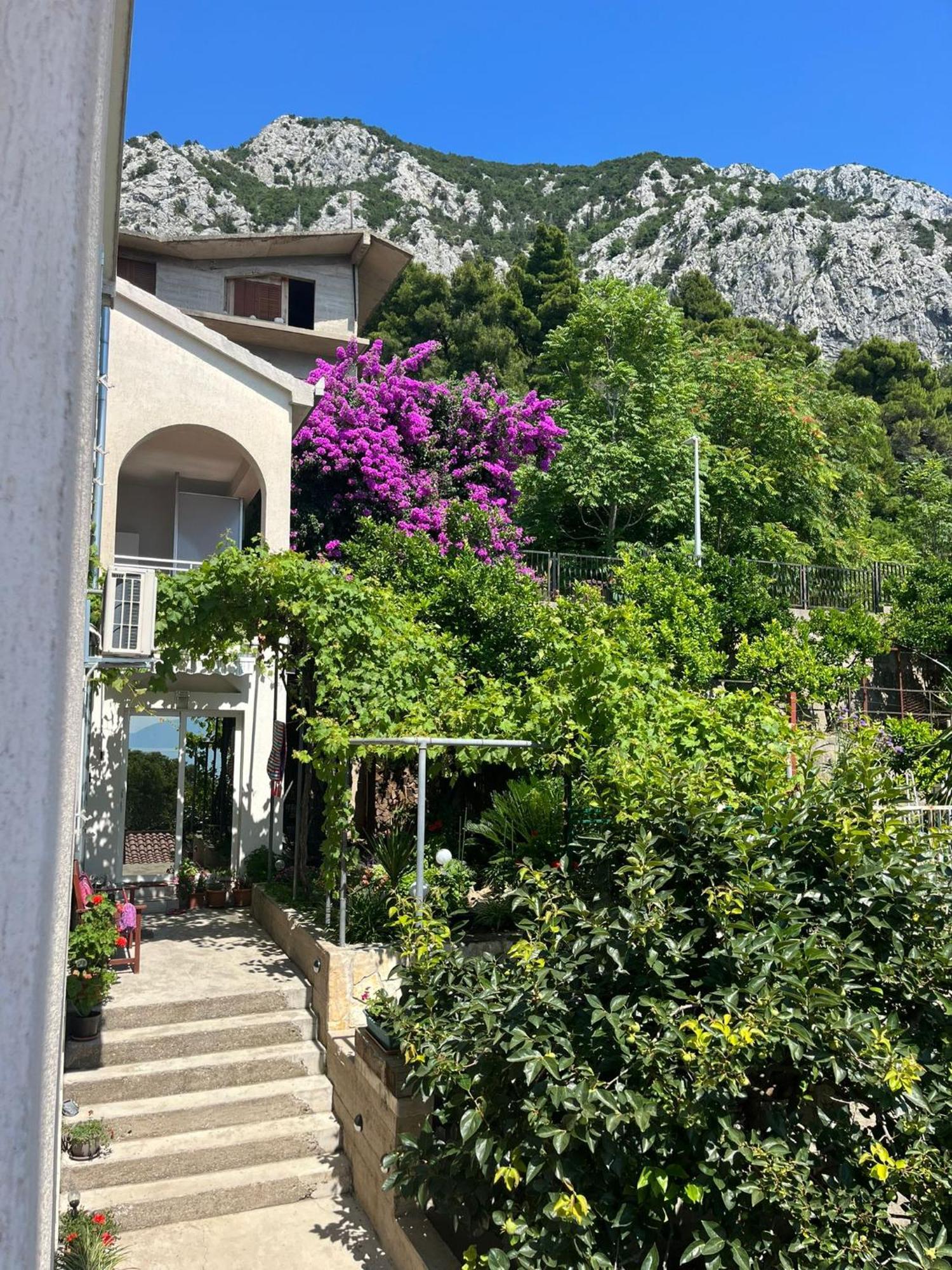 Apartment Davor Gradac (Split-Dalmatia) Exterior foto