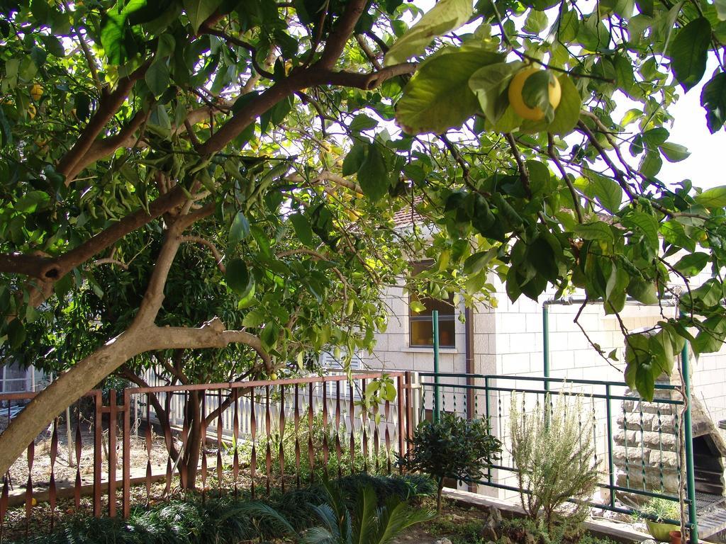 Apartment Davor Gradac (Split-Dalmatia) Quarto foto